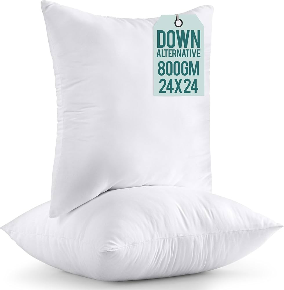 Utopia Bedding Throw Pillows Insert (Pack of 2, White) - 24 x 24 Inches Bed and Couch Pillows - I... | Amazon (US)