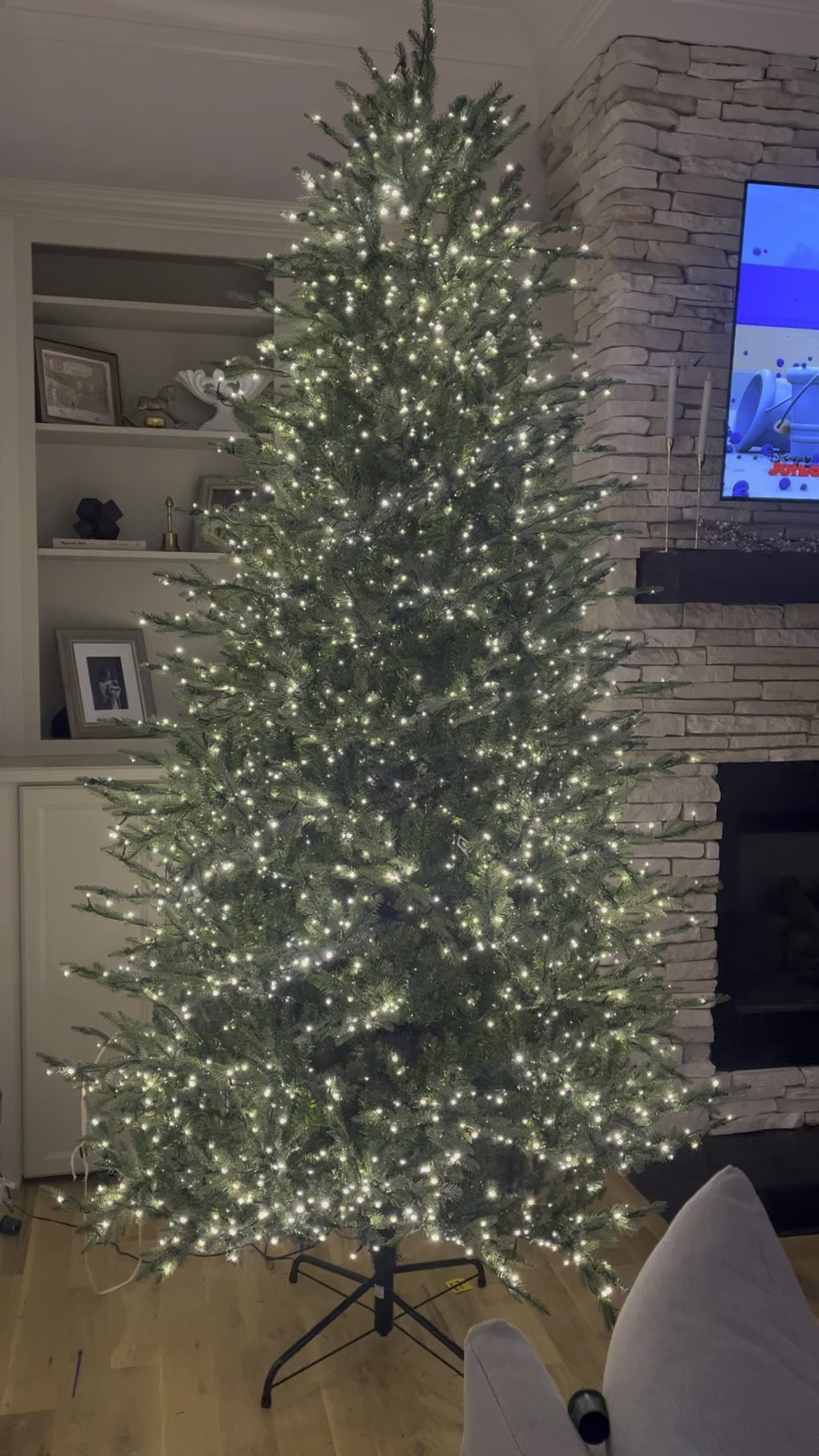 Viral Christmas tree, home decorators, Home Depot Christmas tree, Christmas decor 

#LTKFamily #LTKSeasonal #LTKParties