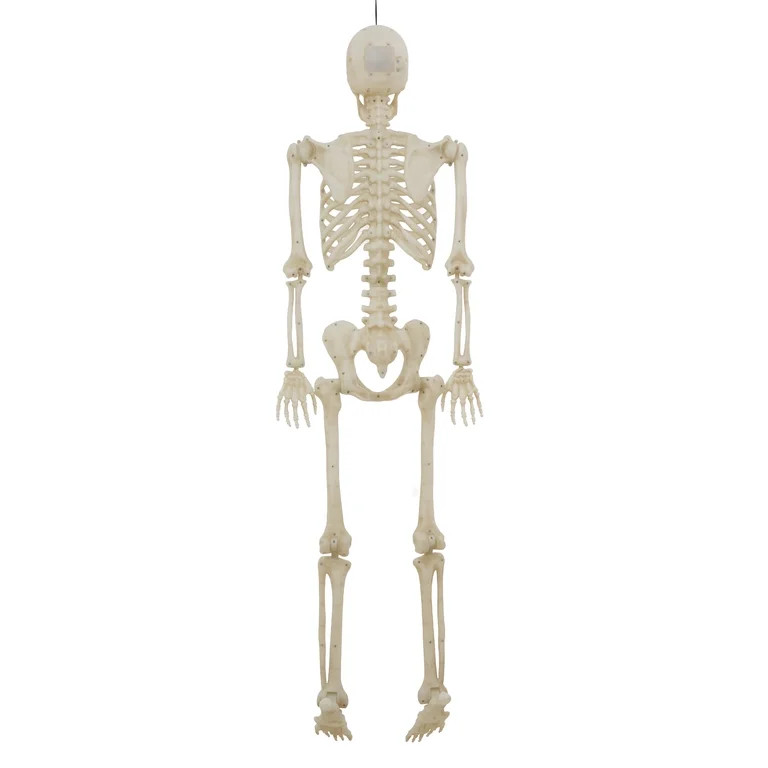 5-foot Poseable LED Illuminated Skeleton, Halloween Decoration, by Way to Celebrate | Walmart (US)