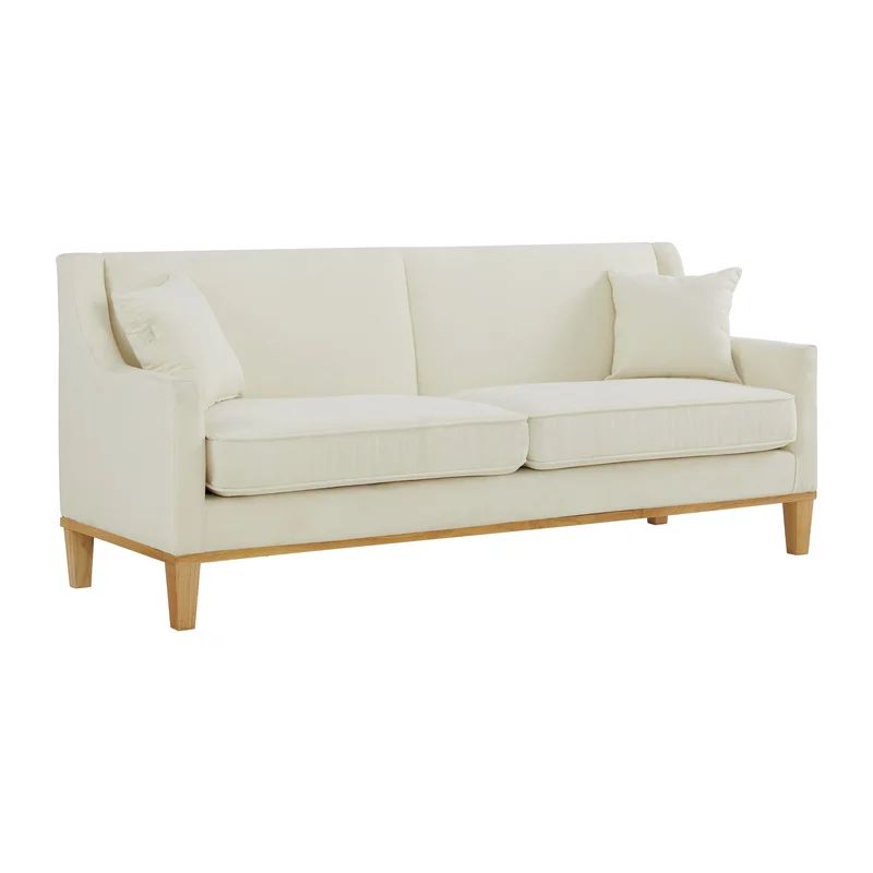 Tarryn 81'' Velvet Sloped Arm Sofa with Reversible Cushions | Wayfair North America