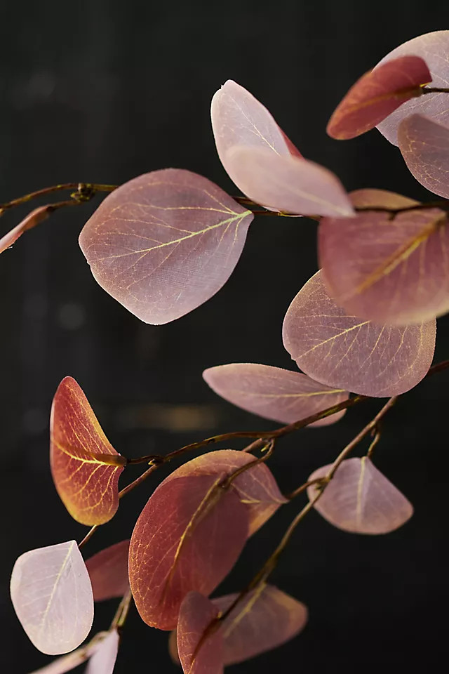 Faux Eucalyptus Stem | Anthropologie (US)