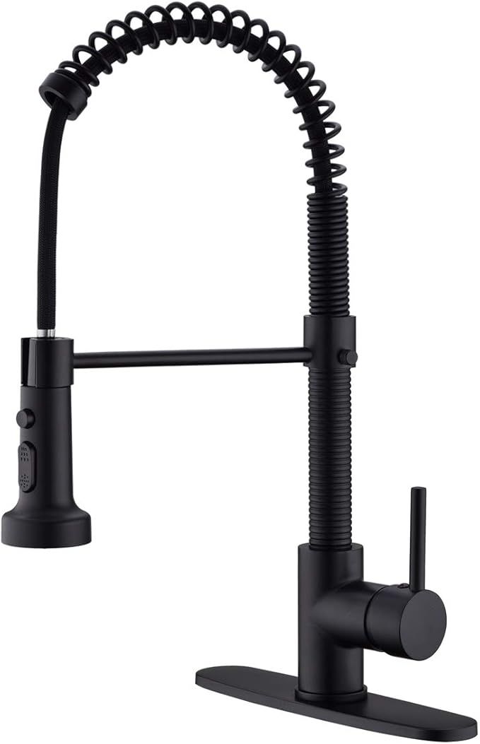 GICASA Kitchen Faucet, Matte Black Kitchen Faucet with Pull Out Sprayer, Commercial Spring Pull D... | Amazon (US)