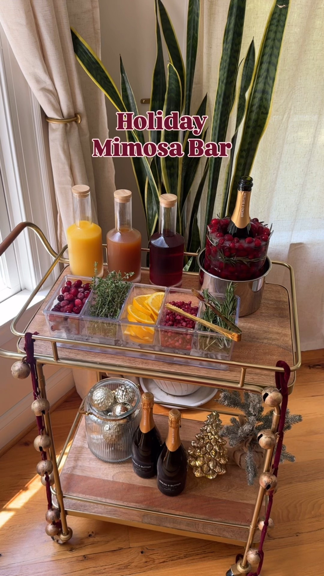 Holiday Mimosa Bar! 🍾✨

#LTKFindsUnder100 #LTKHoliday #LTKHome