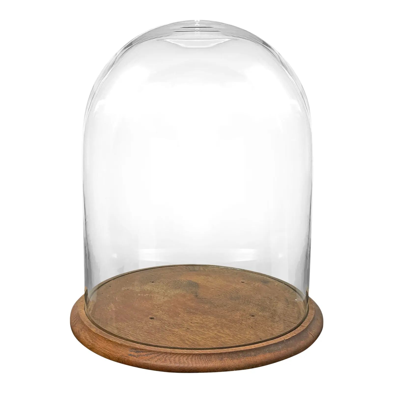 Monumental 19th Century American Glass Cloche | Chairish