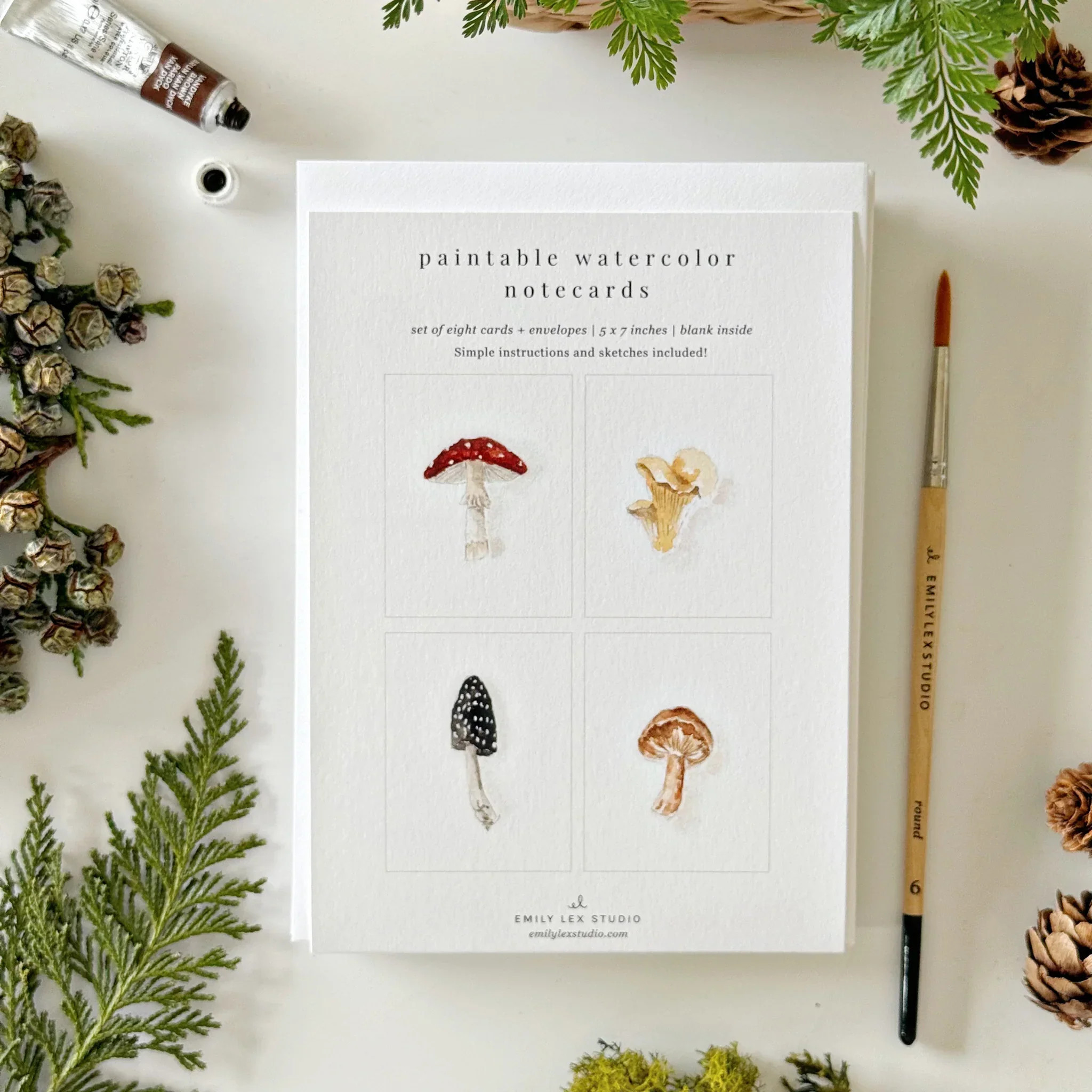 mushrooms paintable watercolor notecard set | Emily Lex Studio