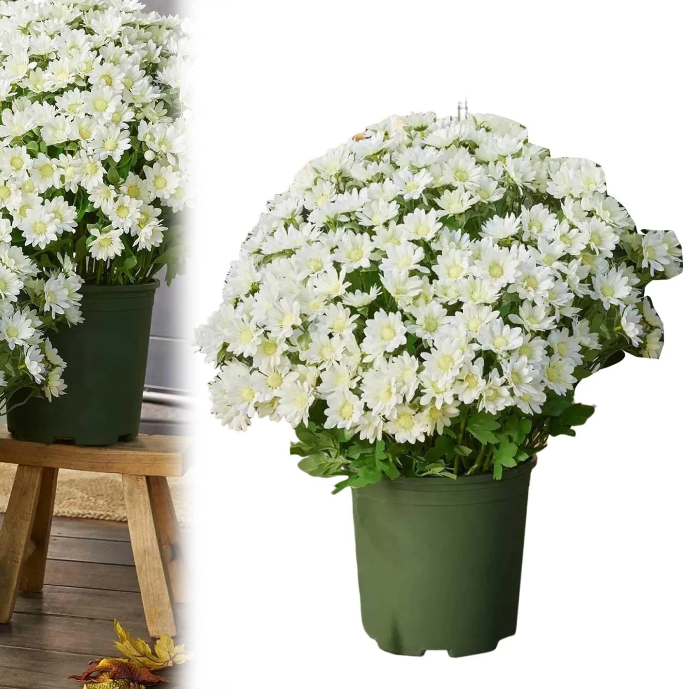 Funsdecor Mums, Artificial Sunset Mums, Artificial Outdoor Sunset Mum Flowers - UV Resistant, Wat... | Walmart (US)