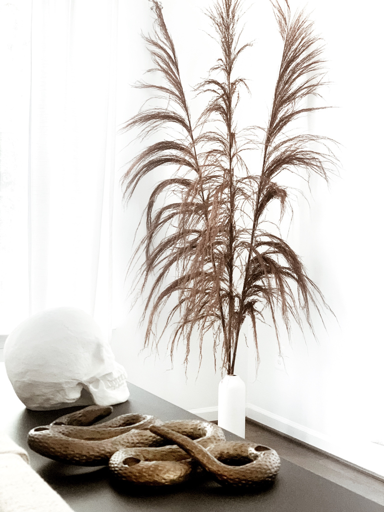 The brown uva stalk is on sale at cb2! Great tone for the fall and winter months. 

Neutral home decor, cozy home decor, fall decor, fall home

#LTKSeasonal #LTKHalloween #LTKhome