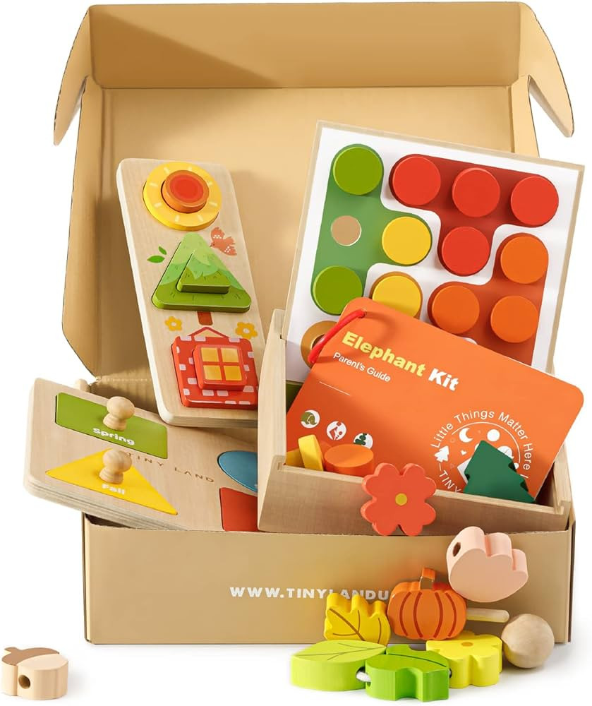 Tiny Land Montessori Toy Set for Babies 18-24 Months Investigator Play Kit- 4-in-1 Wooden Learnin... | Amazon (US)