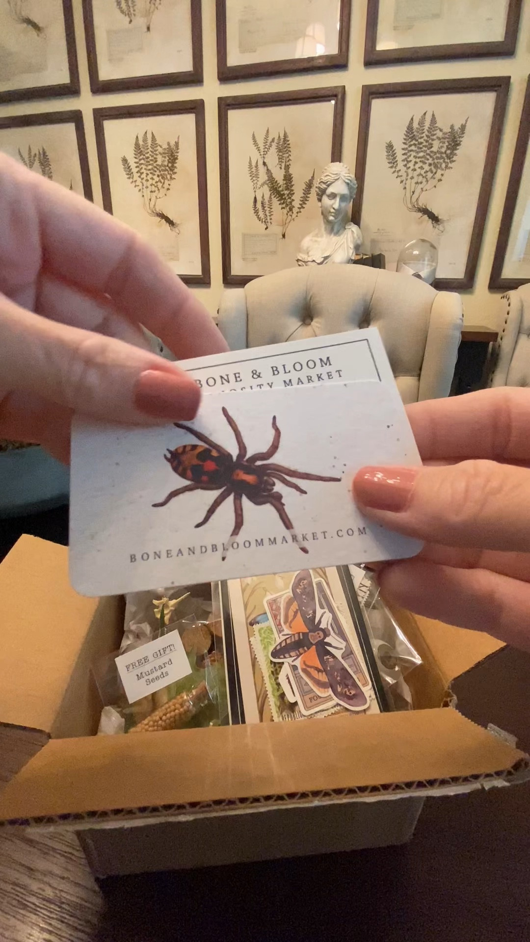 Every Halloween I create an Apothecary/Curiosities display, and these are my new additions for this year. 💀 #apothecary #curiosities #codeorange #cottagecore #witchy

#LTKHome #LTKVideo #LTKSeasonal