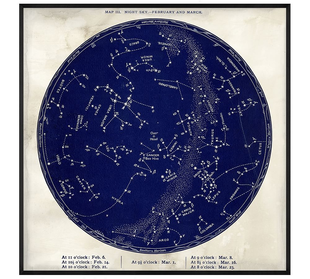 Framed Vintage Astronomical Chart - Blue | Pottery Barn (US)