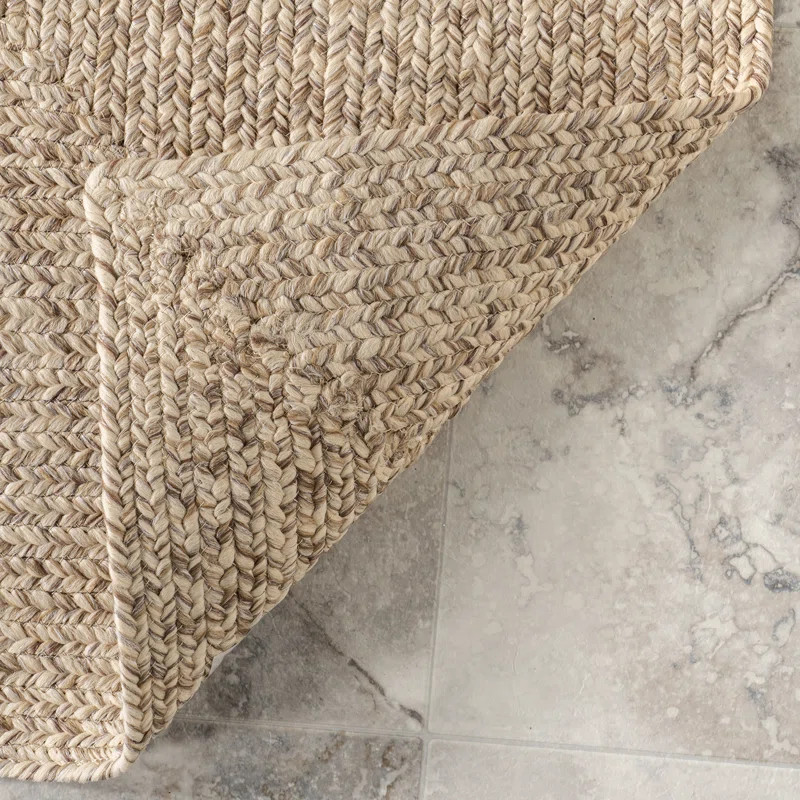 Owensby Handmade Braided Tan Indoor/Outdoor Rug | Wayfair North America