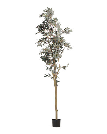 8ft Olive Tree | TJ Maxx