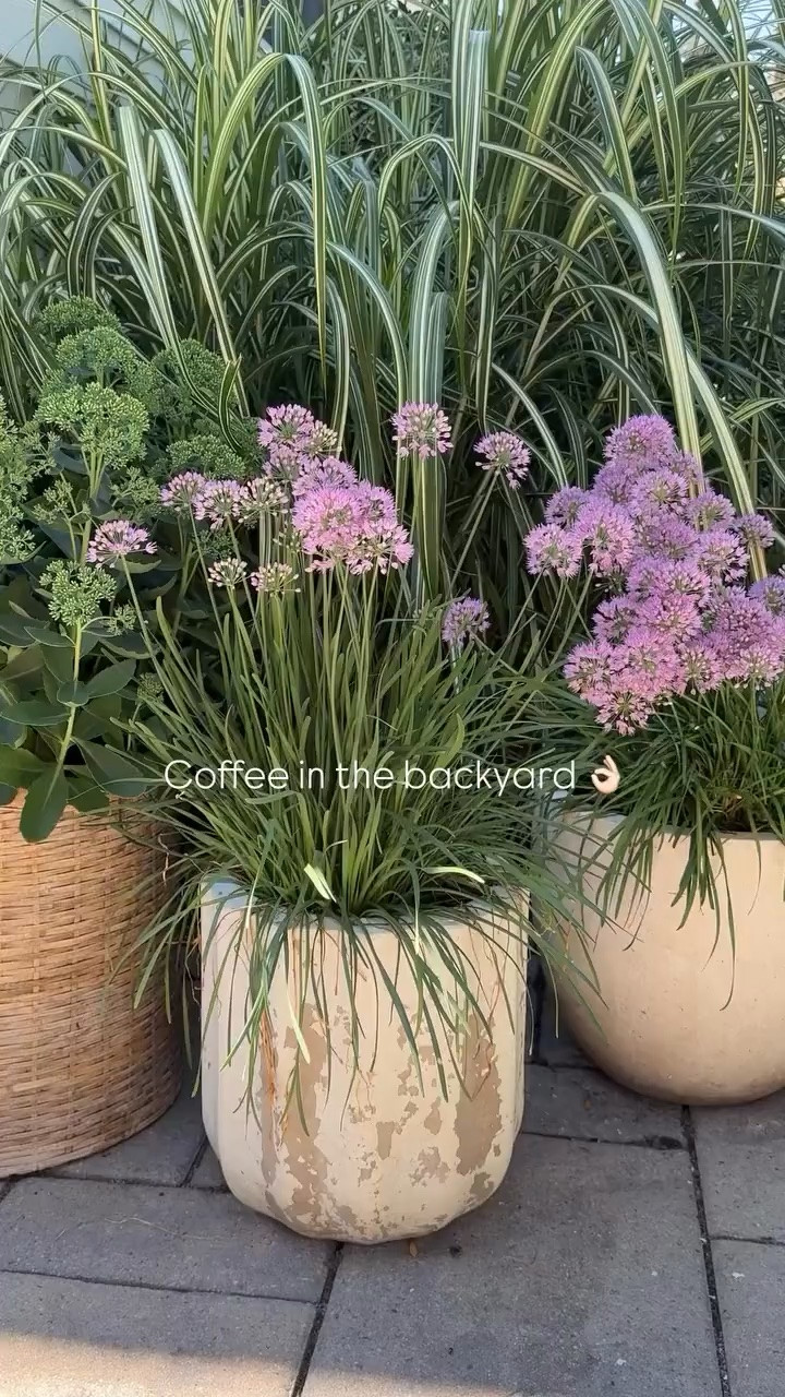 Planters are one of my favorite ways to make the backyard feel like an extension of the house. A mix of sizes and greenery adds so much texture and makes the whole space feel more inviting.

outdoor planters, backyard decor, patio planters, outdoor living, garden planters, patio decor, backyard ideas, outdoor styling, container gardening, outdoor greenery, girlonthehudson

#LTKSeasonal #LTKdayinmylife #LTKHome