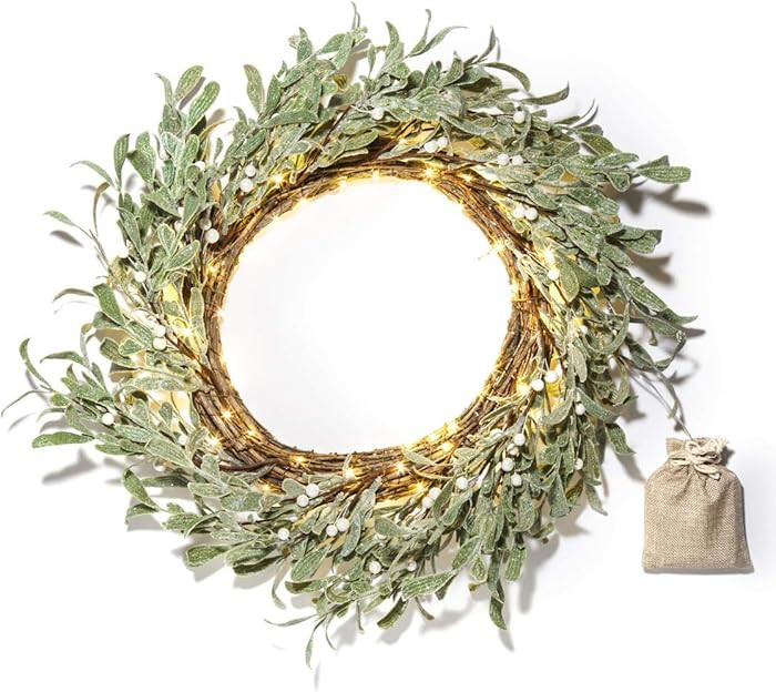 LampLust Winter Wreaths for Front Door Outside, 20 Inch Flocked Wreath with Mistletoe & Pearly Wh... | Amazon (US)