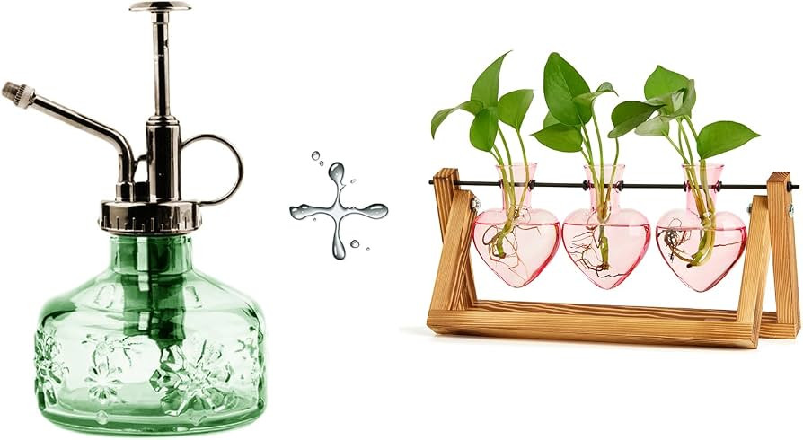 XXXFLOWER Glass Plant Mister Spray Bottle+ 3 Heart Shaped Vases | Amazon (US)