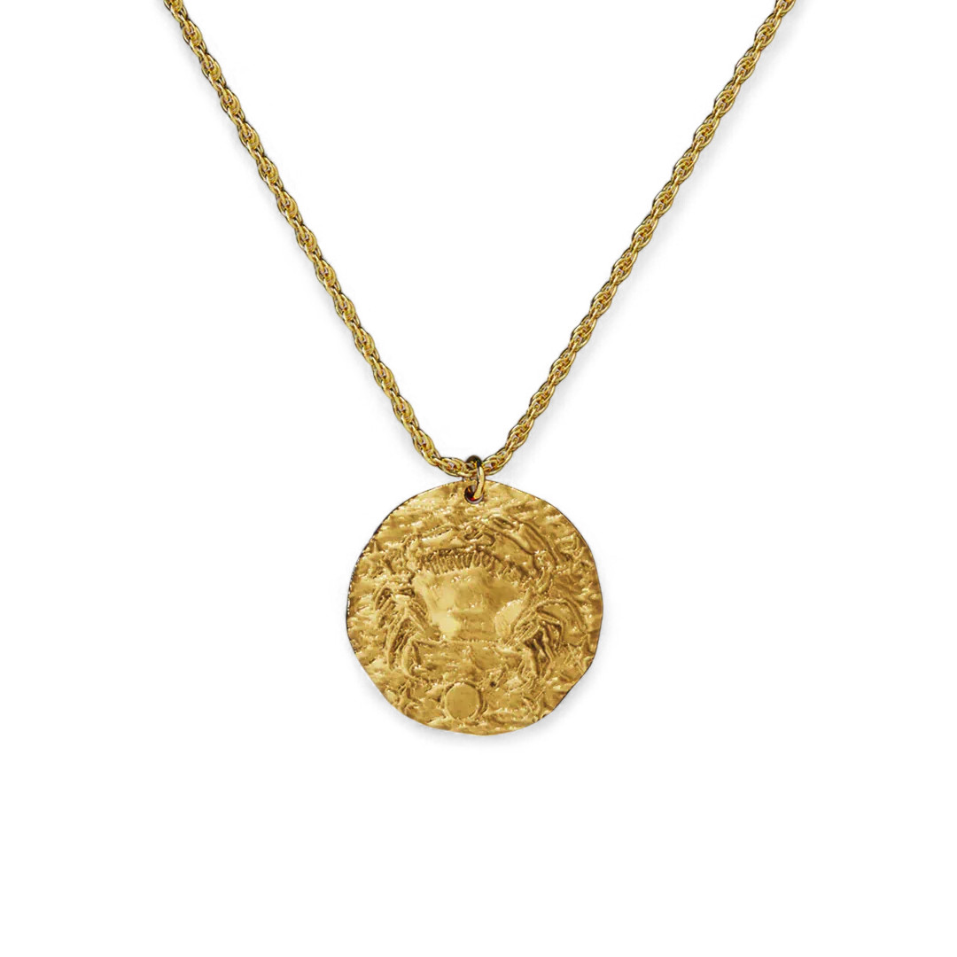 Hammered Gold Zodiac Pendant Necklace | Mint & Lily