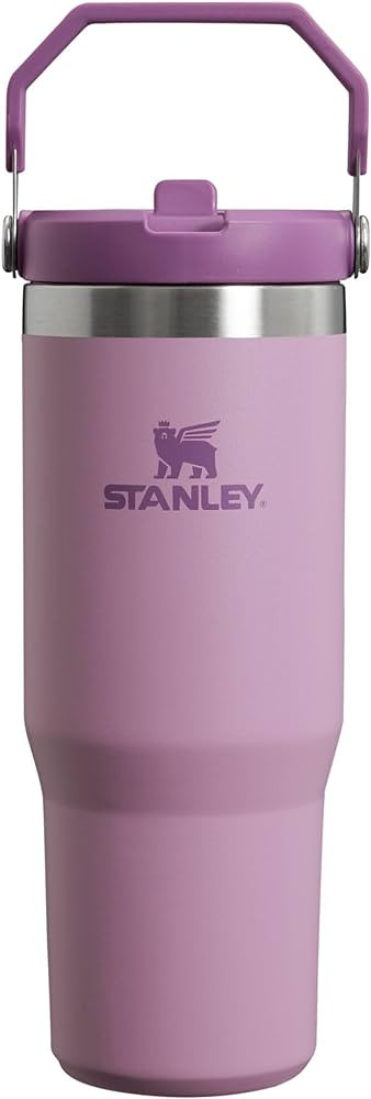 Stanley IceFlow Flip Straw Tumbler with Handle 30 oz | Twist On Lid and Flip Up Straw | Leak Resi... | Amazon (US)