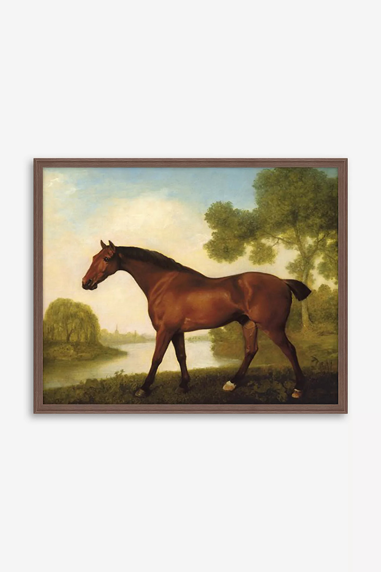Truss, A Hunter by George Stubbs Wall Art | Anthropologie (US)