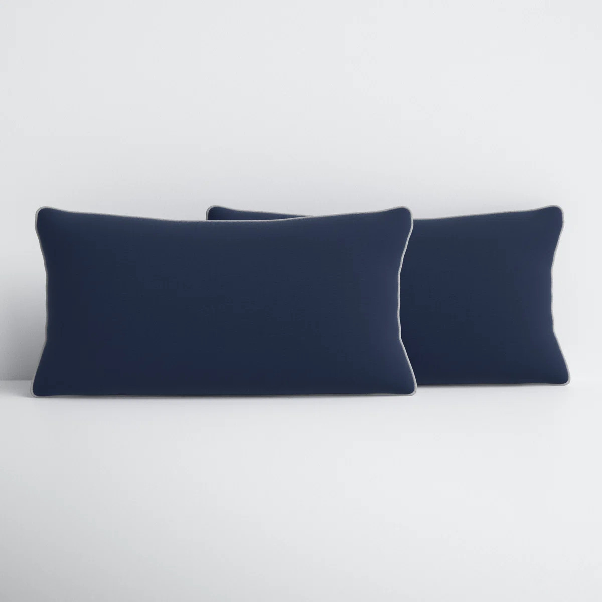 Rene Outdoor Rectangular Pillow Cover & Insert (Set of 2) | Wayfair North America