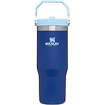 STANLEY IceFlow Stainless Steel Tumbler with Straw, Vacuum Insulated Water Bottle for Home, Offic... | Amazon (US)