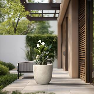 18 in. Large Light Gray Concrete Round  Planter / Pot with Drainage Holes | The Home Depot