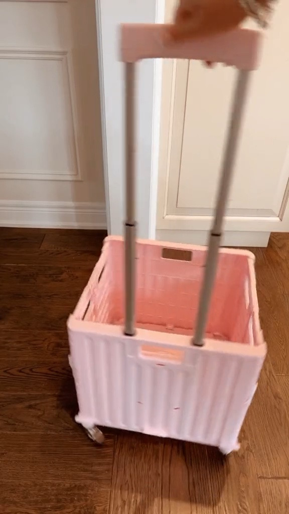 Rolling grocery cart
Amazon finds

#LTKtravel