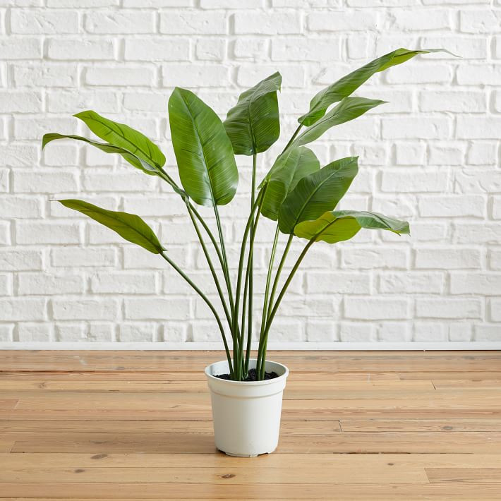 Faux Potted Bird of Paradise Plant Tree | West Elm (US)