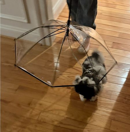 Dog umbrella
Keep your dog safe
