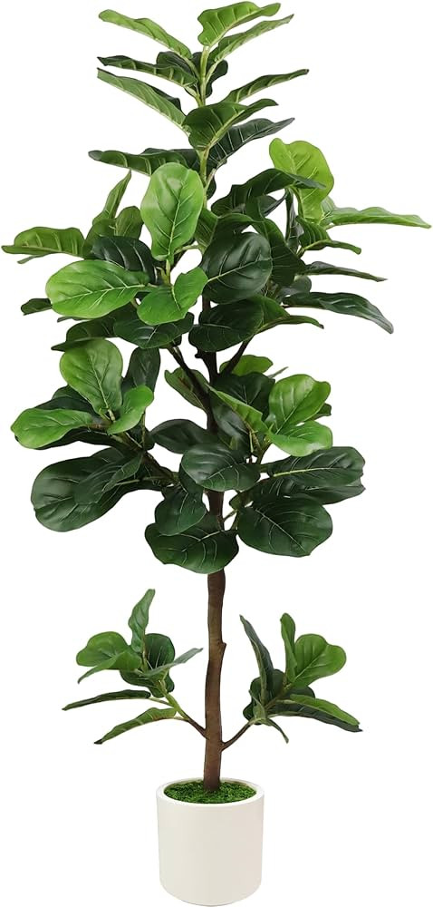 5FT Artificial Fiddle Leaf Fig Tree with White Planter & Fake Moss, Realistic Faux Ficus Lyrata F... | Amazon (US)