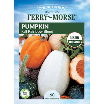 Ferry-Morse Organic Pumpkin Seeds 4.4 Gram(s) | Lowe's
