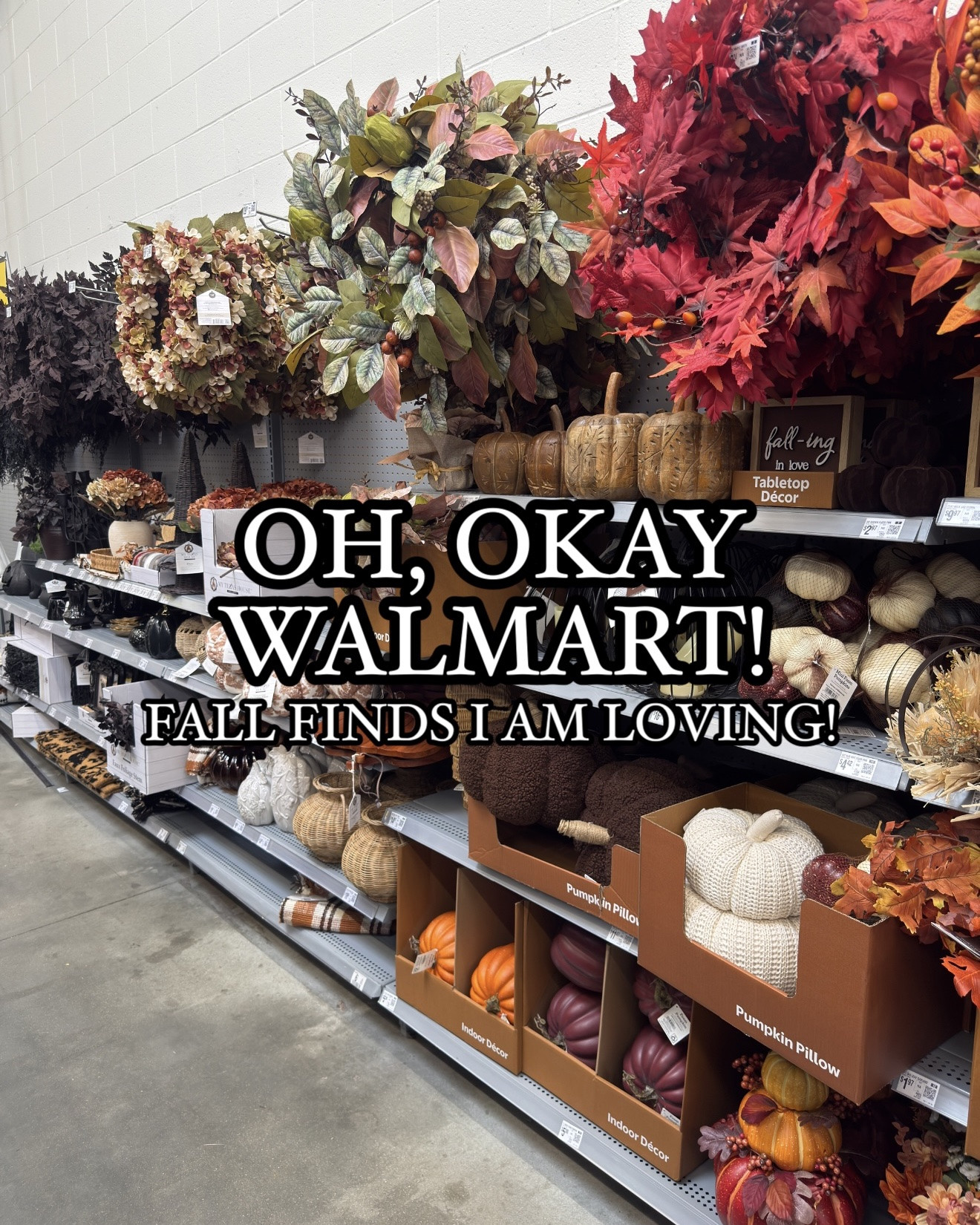 I cannot believe this drop from Walmart this fall season! 🍂🤎🎃

Here are some of my favs I saw. I am so impressed with the rattan quality and WREATHS! Not fake looking either. Maybe I’ll do a spooky front porch decor with burgundy and black colors? 🤭

#falldecorations #falldecor #autumnmood #halloweendecor #neutralhomedecor #organicmodern #homedecorideas #cozyhome #jackolantern #Itk #Itkhome #homedecorinspo #halloweenlovers

#LTKSeasonal #LTKHome #LTKSaleAlert