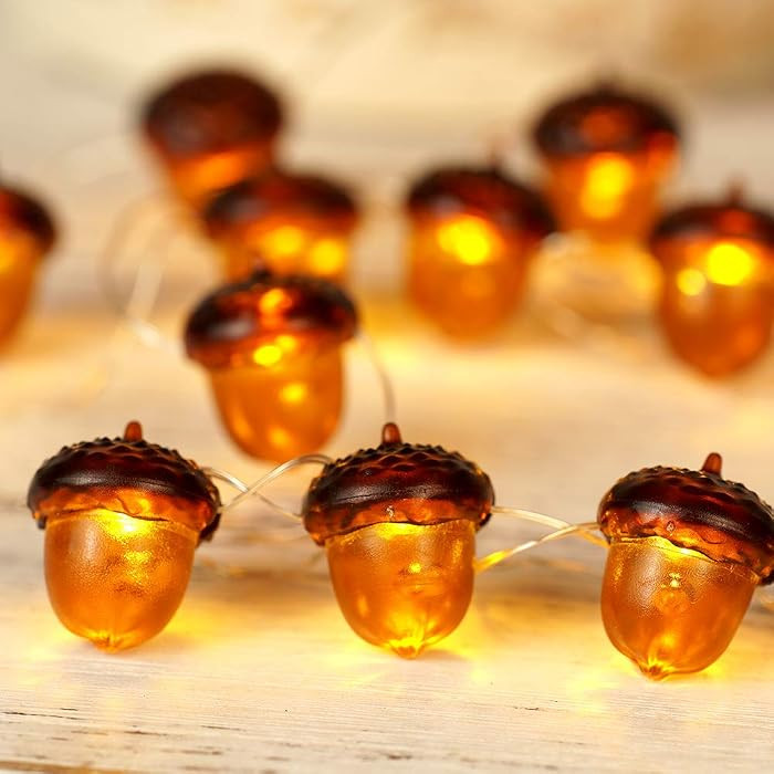 BOHON 3D Acorn String Lights Battery Battery Thanksgiving Fall Decorations | Amazon (US)