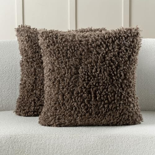 FUTEI Chocolate Decorative Throw Pillow Covers 18x18 Inch Set of 2,Soft Fluffy Faux Wool Fur Boucle Textured Cushion Case,Modern Home Decor for Couch Bed Living Room Office | Amazon (US)
