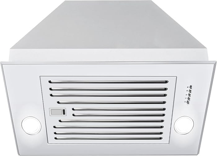 Range Hood Insert 24 inch, Built in Kitchen Hood 600CFM, Ducted/Ductless Convertible Stove Hood w... | Amazon (US)
