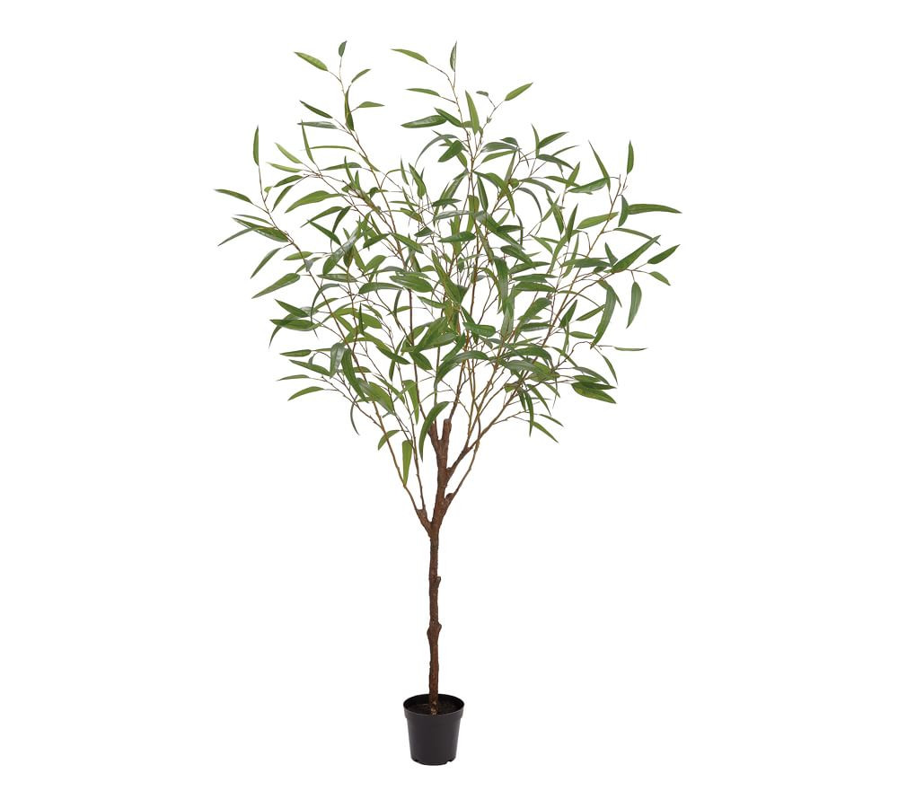 Faux Potted Eucalyptus Tree - 6' | Pottery Barn (US)