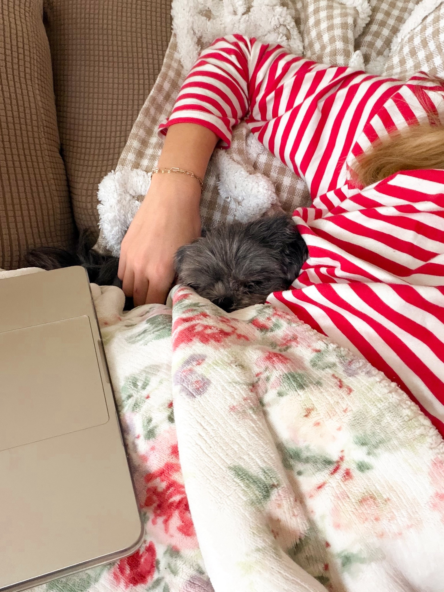 gloomy morning snuggles 

#LTKSeasonal #LTKdayinmylife #LTKU
