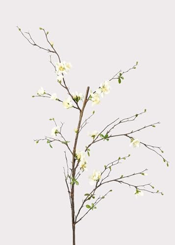 Afloral Artificial Flowers | Cream Artificial Blossom Branch - 57" | Amazon (US)