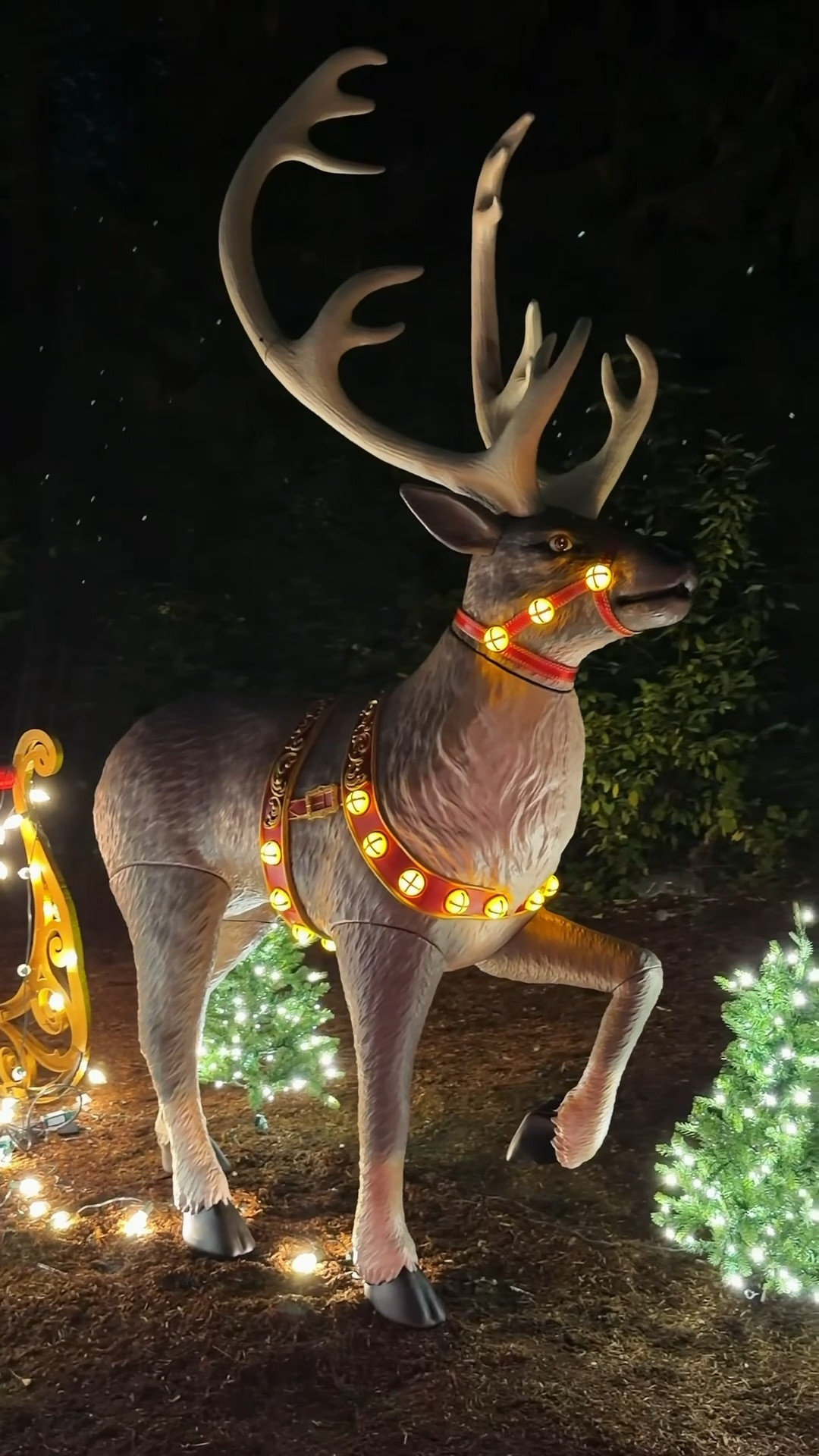 Outdoor Christmas Decor 2026 
Giant 8 1/2 foot reindeer, 8 foot Santa, giant sleigh and Jumbo Ornaments