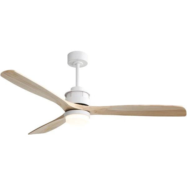 Nicola 60'' Ceiling Fan with LED Lights | Wayfair North America