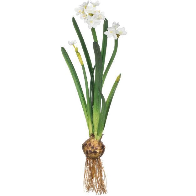 Sullivans Artificial Paperwhite With Bulb Stem 20"H White | Target