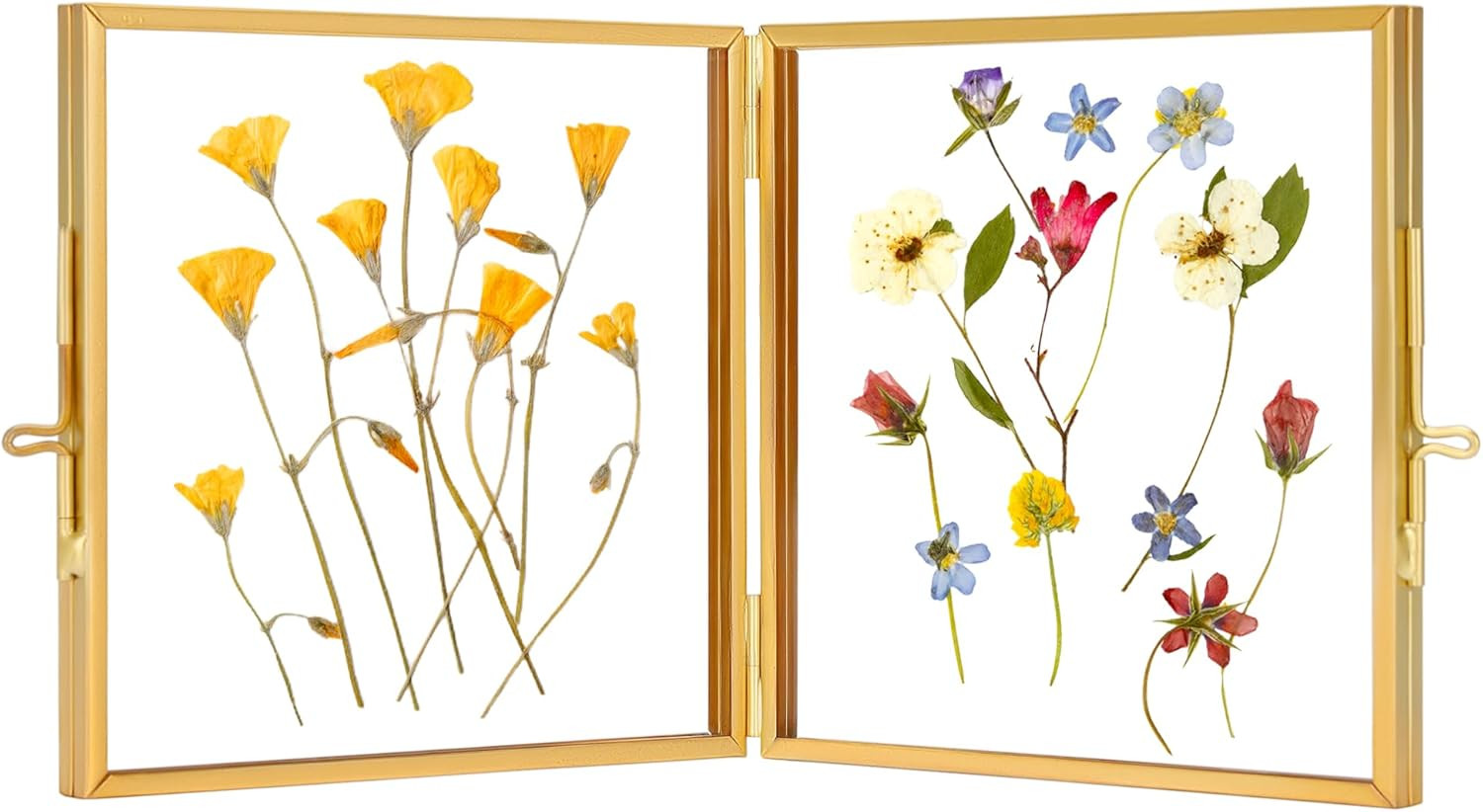 Double Glass Picture Frame Handmade, Glass Pressed Flower Frame, Hinged Brass Picture Frame Table... | Amazon (US)