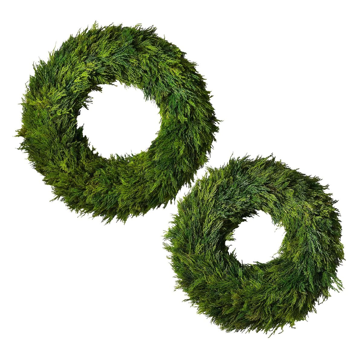 Cypress Wreath | Megan Molten