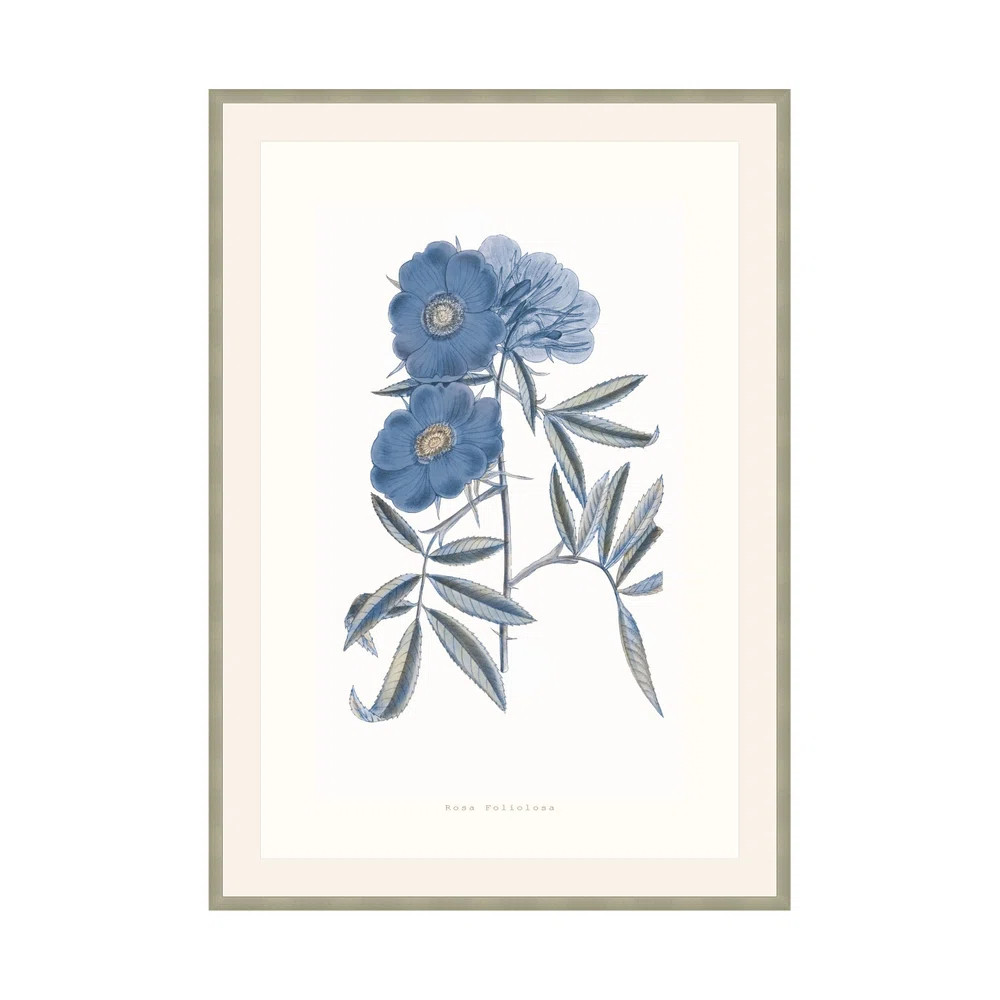 Bouquet Blue 2 Print by Studio L57 Nouvelle | Perigold