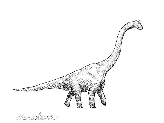 Brachiosaurus Dino Drawing Wall Art Prints  Long Neck - Etsy | Etsy (US)