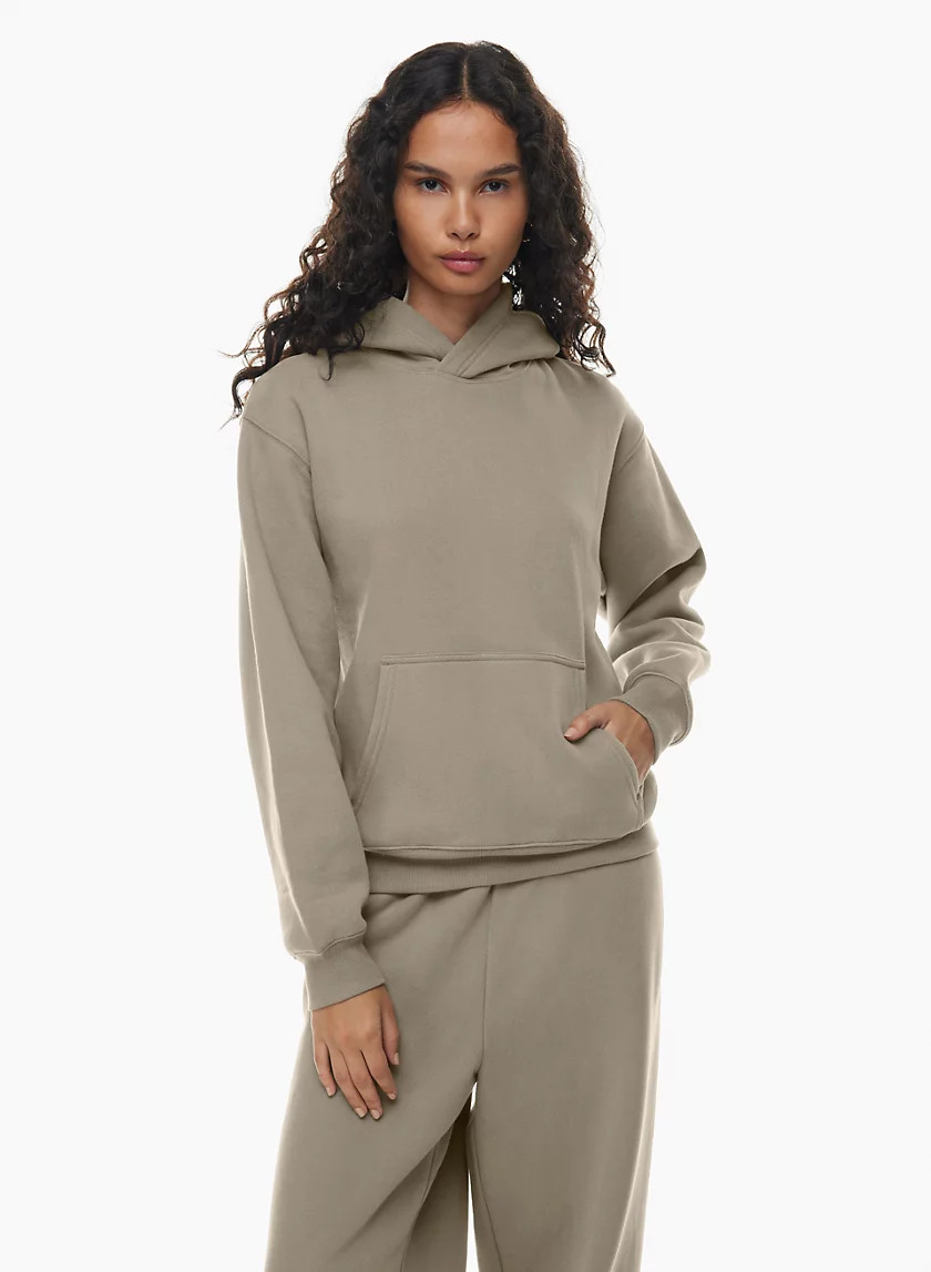 COZY FLEECE PERFECT HOODIE | Aritzia