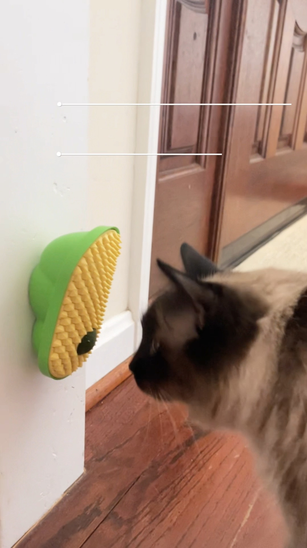 Our cats love rubbing against our furniture, so I knew they’d love this self-grooming wall device with a built in cat nip ball that rolls as they rub against it. 

Now they have a spot just for them—and they can’t get enough of that catnip ball! 😻 #CatLife #FelineFavorites

#LTKHome #LTKVideo #LTKFamily