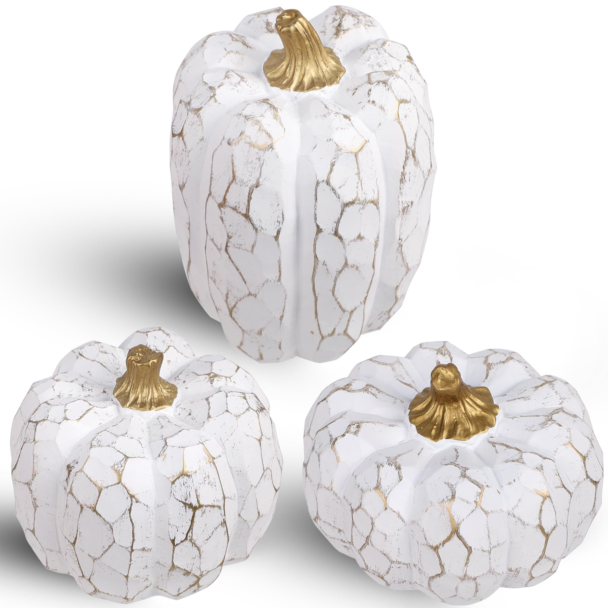 winemana Pumpkins Fall Decorations for Home- Set of 3 Elegant White Pumpkin Resin Thanksgiving Ce... | Amazon (US)