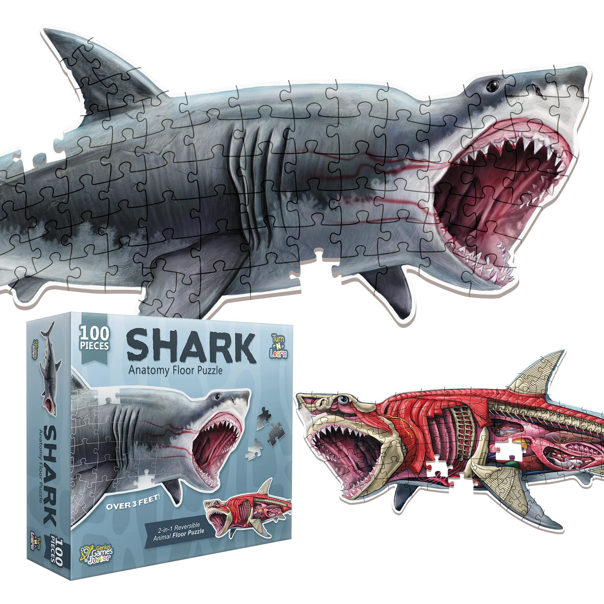 Shark Animal Anatomy Floor Puzzle | 100-Piece Double Sided Jigsaw Puzzle | Large-Sized, Over 3 FT... | Walmart (US)