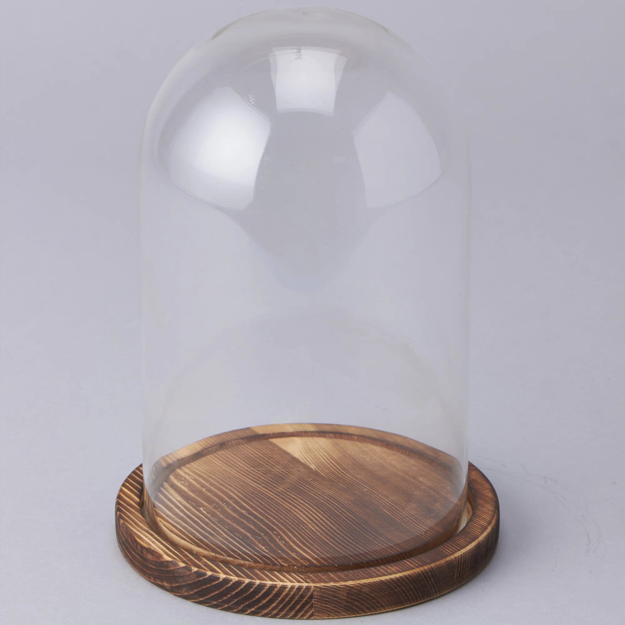 Beacham Glass Dome with Wood Base | Wayfair | Wayfair North America
