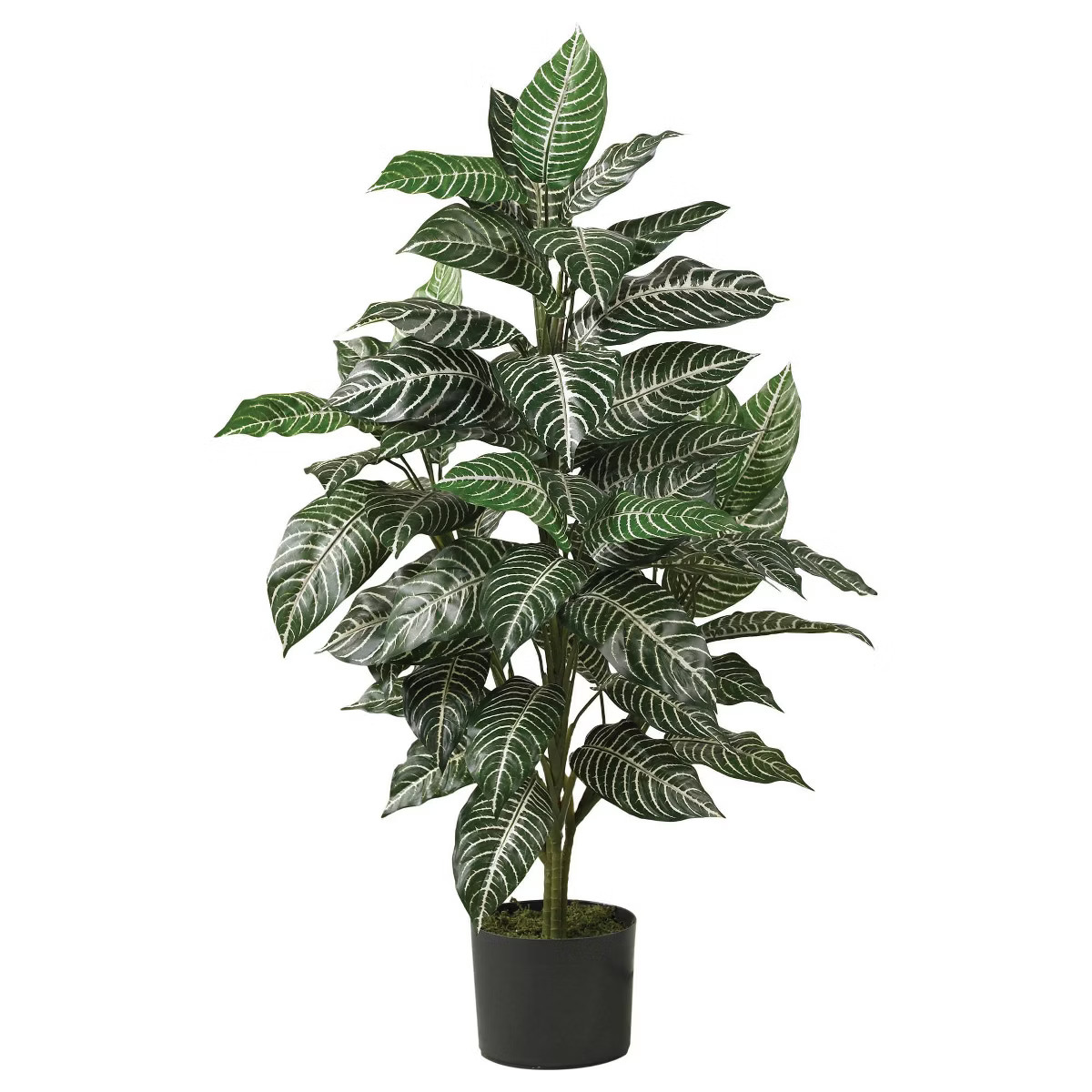 36" x 20" Artificial Zebra Silk Plant in Wicker Pot - Nearly Natural: Indoor Floor Plant Decorati... | Target